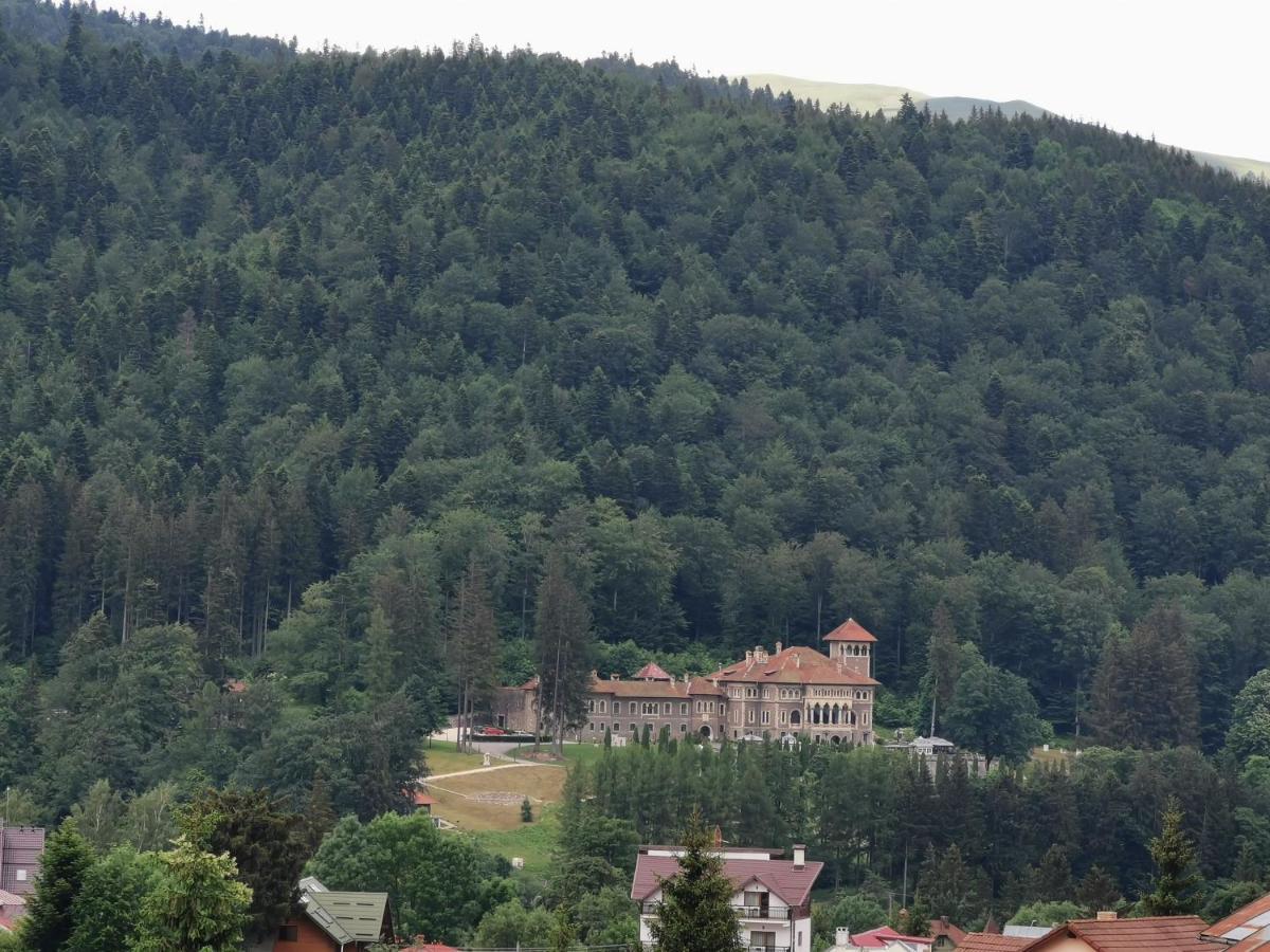 Hotel Iri Buşteni Buitenkant foto